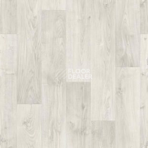 Линолеум Tarkett Discovery RIGARD 1 фото 1 | FLOORDEALER